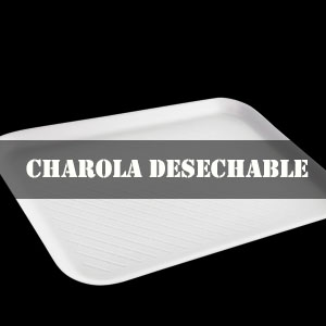 CHAROLA DESECHABLE