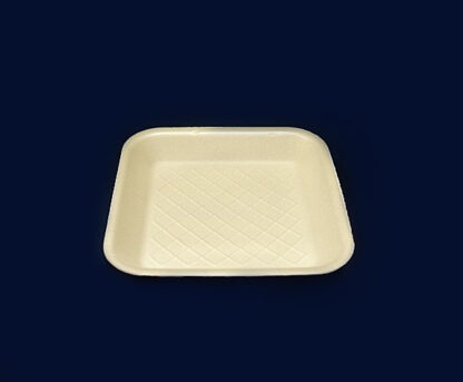 Charola Térmica Biodegradable Reyma Mariel 066